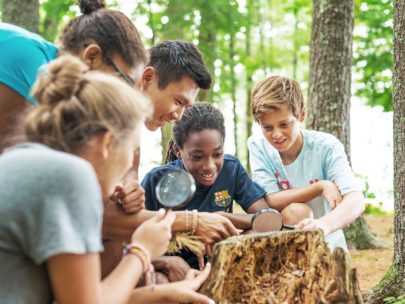 campers looking at a tree stump with magnifying glasses