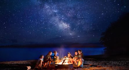 kids roasting marshmallows over a campfire under a very starry sky