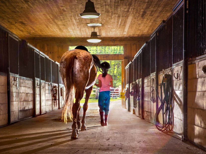 girl walking through a stable with a horse
