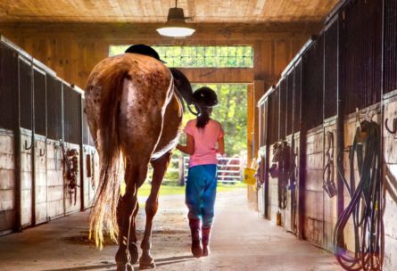 a girl and a horse walking through a stable