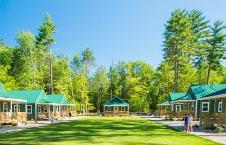 green cabins in front of trees