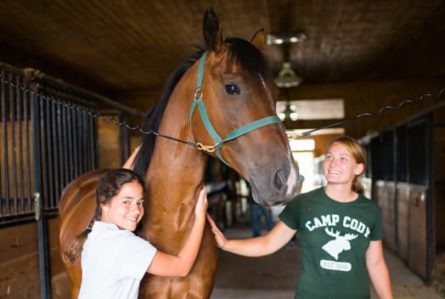 a camper hugging a horse while an instructor pets him