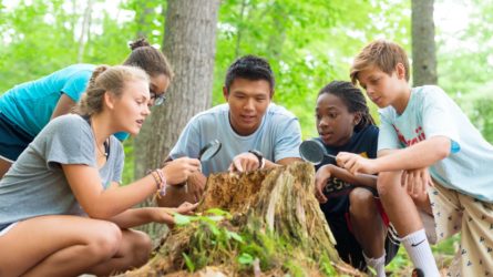 campers looking at a tree stump with magnifying glasses