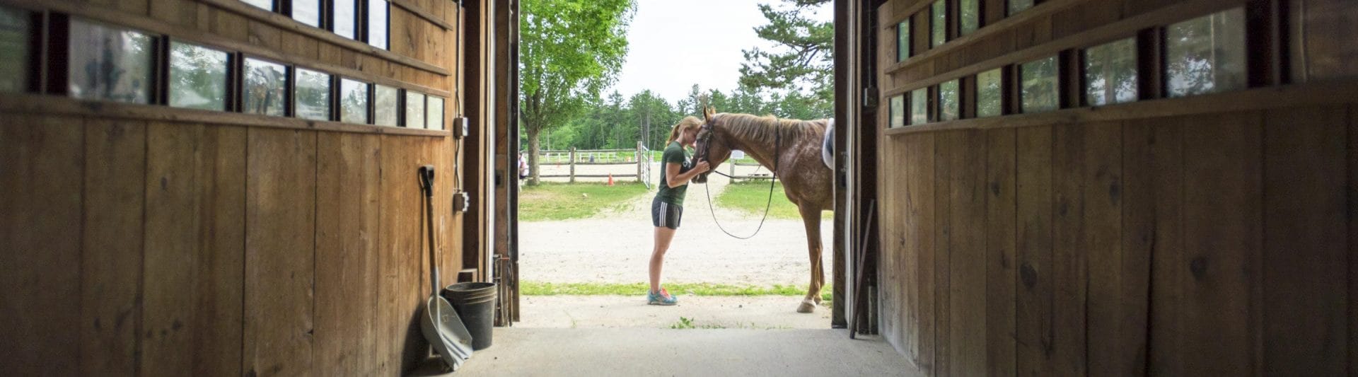a girl pressing her face against a horse