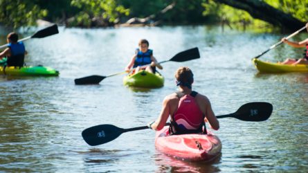 counselor kayaking toward campers