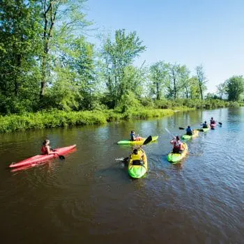 a line of campers in kayaks on a river