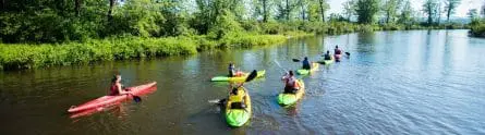 group of campers kayaking