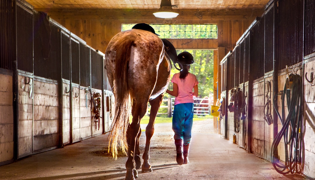 girl and a horse walking away from the camera in a stable