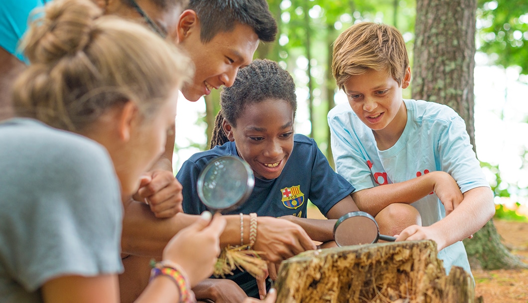 kids with magnifying glasses looking at a stump